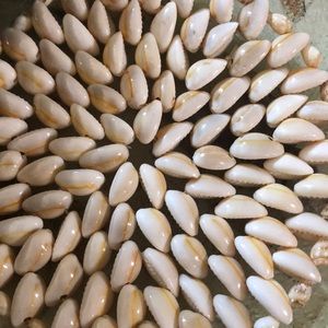 Meet your Posher, Rose